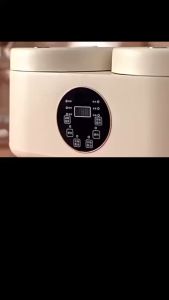 ready stock double-gallon rice cooker smart new household multi-function 2L+2L 4 liter double-body rice cooker two-in-one