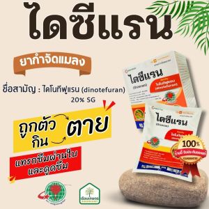 ไดซีแรน สารกำจัดแมลงอย่างมีประสิทธิภาพ คุณสมบัติถูกตัวตาย กินตาย แทรกซึมผ่านใบและดูดซึม  ของแท้ 100% ขนาด 100 กรัม