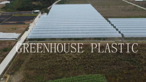 UV Plastic Sheet (6 mil - 200 Microns) - 10ft x 10 meter