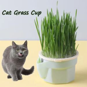 Pets Eco-friendly Catnip Grass Cat Grass Rumput Kucing Natural Healthy Catnip Kucing Snack Relax Mainan Kucing