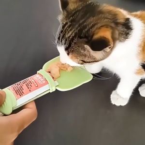 Cat Feeder Cat Treat Strip Squeezer Pet Snack Cat Feeding Spoon Sendok Pemberi Makanan Treat Kucing