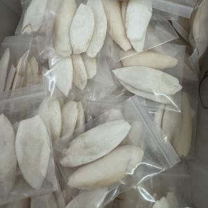 Cuttlebone Parrot Special Xuanfeng Tiger Skin Peony Parrot Molar Rod Calcium Supplement Bite Toy Supplies Snack Large