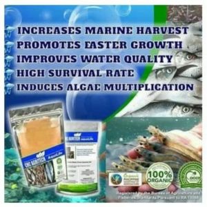 1kg CHC Aqualife for Faster Growth of Tilapia, Bangus, Prawn, and Aquarium Fish Feed