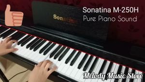 Exam Grade 88 Keys Digital Piano Professional Portable Smooth Dynamic Hammer Action Weighted Touch Piano Keyboard Sonatina M-250H Weighted Keys Piano Portable Digital Piano Hammer Action Piano T Shape Stand