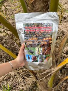 Combo 30 túi treo đuổi đuông dừa bù xè kiến vương côn trùng hại dừa dạng hạt không pha trộn( mẫu mới 2025)