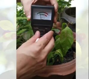 เครื่องวัดค่า pH ดิน และวัดค่าปูย NPK รวม 2in1 (พร้อมส่ง) L107 - เดิมที่ 4 ฟิลเลอร์ พิเศษ 20%