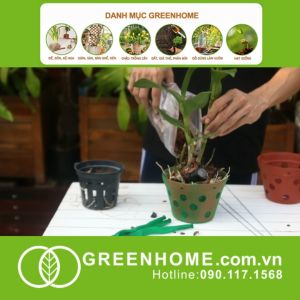Mua 5 tặng 1 - Bộ 10 Lưới Lót Chậu Lan GreenHome D35cm Dụng cụ làm vườn Lót Đáy Chậu Ngăn Rơi Vãi Giá Thể