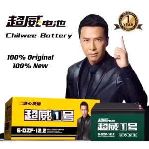 CHILWEE ELECTRIC BIKE BATTERY 100% ORIGINAL