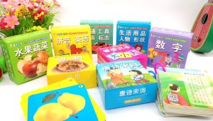 Bộ Thẻ FlashCard Theo Chủ Đề Học Tiếng Trung Kết Hợp English Tiếng Anh