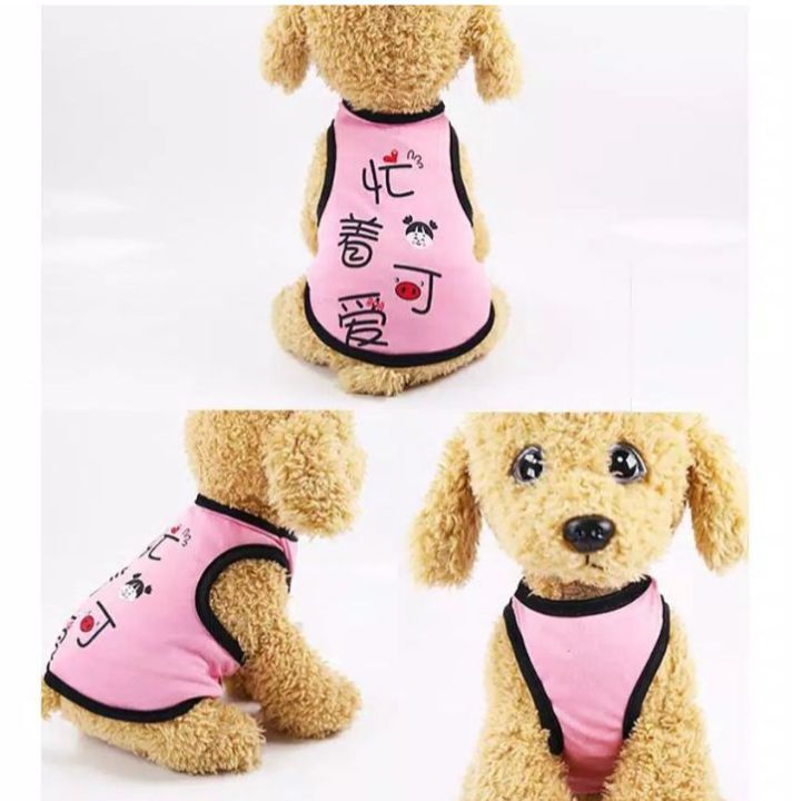 Baju Kucing / Baju Anjing / Baju Hewan / Baju lucu kwalitas Import / murah / lucu / keren