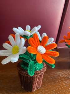 ดอกไม้กำมะหยี่