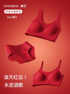 ชุดชั้นในสตรี ปีมังกร วัสดุไนลอน ไร้โครง เอวต่ำ บราแบบเกาะอก ชุดชั้นในวันเกิดใหม่ ชุดแต่งงาน ชุดชั้นในไร้ตะเข็บ