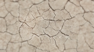 Atomy Mild Cleansing Water อะโทมี่ มายด์ คลีนซิ่ง วอเทอร์ ชนิดไม่ต้องล้างออก สบายผิว kaideeshop888