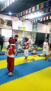 SOLOMAN 14 in 1 Taekwondo Protective Gear Taekwondo Armor Children Comition Set Taekwondo Equipment Accessories Set