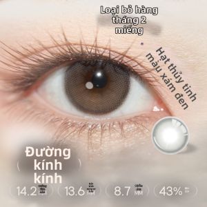 LENSFANS | Mắt Kính Nhẹ và Tự Nhiên Màu Sắc Hàng Tháng