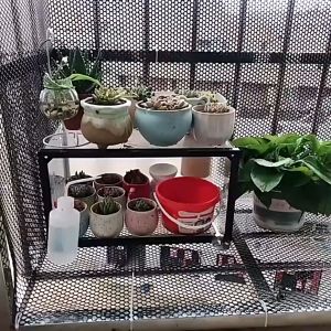 Black Plastic Flat Net Stair Guardrail Encryption Plastic Mesh for the Cast Net Household Sealing Balcony Fence