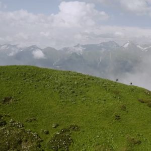 Gluta Whitening Lazy Cream Gluta Whitening Cream Facial Cream Concealer Long Lasting Brightening Moisturizing Whitening Face Cream