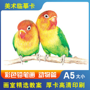 40 Tấm Thẻ Mô Phỏng Nghệ Thuật Màu Sáp Cho Trẻ Em Bài Học Vẽ Động Vật Chất Lượng Cao Gốc Thẻ Ghi Chép Sáng Tạo Kích Thước 14.5x21cm