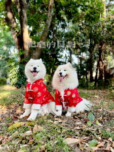 New Years Dog Clothes Pet Outerwear Windproof Tang Suit Samoyed Golden Retriever Fleece Lined Warm Medium Large Dog