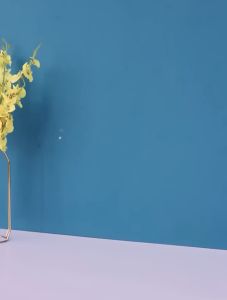 2 in 1 Household Portable Toothbrush Case Dental Cask Rinse Cup Travel Kit Storage Toothpaste Holder Toothbrush Holder