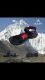 Elgant adventure store