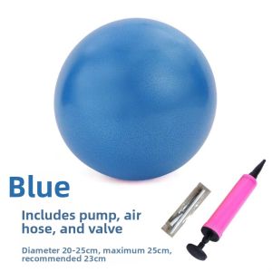 HUALUOLAN | Adult Pelvic Floor Postpartum Recovery Pilates Mini Exercise Ball