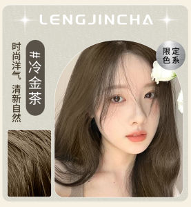 Champagne Mellow Brown Pure Hair Dyeing Paste Bubble Plant Natural No Irritation Women Brand Long Lasting Color Hair Dye