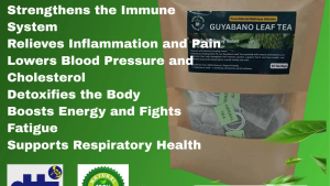 GUYABANO TEA 100% ALL NATURAL