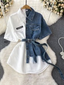 Slim Fit A-Line Shirt Dress with Single Button Closure And Stand Collar Mid-Length Korean Style Womens Summer Casual Dress