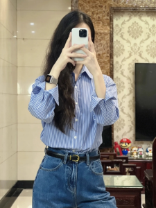 Blue Shirt Womens Spring Autumn Shoulder High Professional Office Outfit Blue White Vertical Stripes Business Commute Layering Top