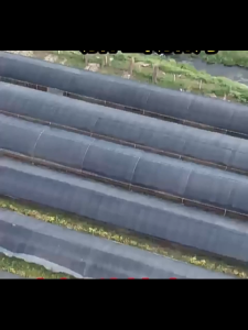 สแลนกรองแสง กันยูวี กรอง 95% 2x20ม สแลนกันแดด แสลนบังแดด ตาข่ายกรองแสง ตาข่ายกันแดด สแลนบังแดด High-Density Weave UV-Protective