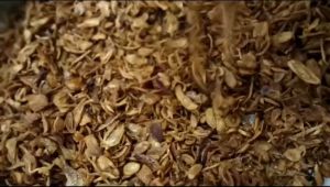 TERMURAH Bawang Goreng Premium Original Asli Tanpa Campuran Murah