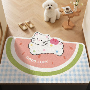 Anti-slip and Stain-resistant Doormat