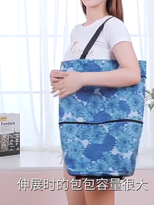 Xe đẩy túi mua sắm có thể gập lại di động có bánh xe đẩy mua sắm di động xe đẩy mua sắm tạp hóa