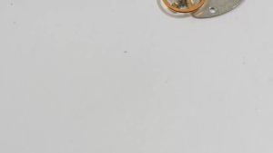 Bộ Lắp Ráp Bánh Xe Cân Bằng Hoàn Chỉnh Để Sửa Chữa Bộ Máy Đồng Hồ Phụ Kiện Thay Thế 46941 46943 Bộ Phận Chuyển Động Của Đồng Hồ