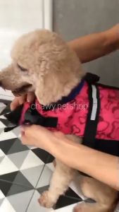 2025 พาน้องไปว่ายน้ำกันเถอะ ชูชีพสุนัข เสื้อชูชีพสุนัข ชูชีพหมา ชูชีพน้องหมา เสื้อชูชีพหมา