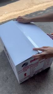 เทปปิดกล่อง opp ยี่ห้อ DRAGON 100 หลา (6 ม้วน) สีใส