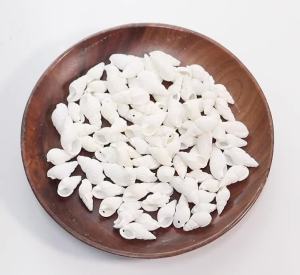 40g/lot 7-13mm White Snail Shell Shaped Beads For Jewelry Making Loose Pendant Beads DIY Charms Earrings Phone Chain Accessories
