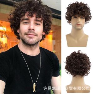 New wig mens short headgear brown short curly hair teddy roll high temperature silk chemical fiber.