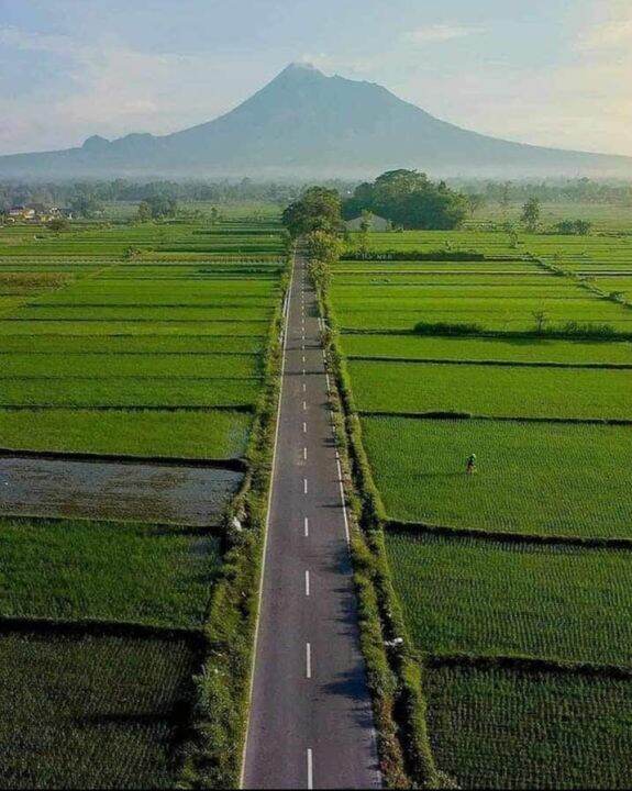 Gambar Pemandangan Gunung Dan Sawah