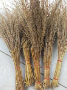 sapu jerami padi merang ketan hitam asli 1 ikat