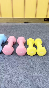 🇸🇬 Basics Neoprene Dumbbell Hand Weights / Vinyl Dumbbells  - 0.5g-3kg / Dumbbell / Dumbbell for Weight Strength Trainin