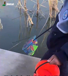 3LI สวิงตักปลา ที่ตักปลา กระชอนตักปลา ที่ช้อนปลา สวิงอเนกประสงค์ พร้อมส่งในไทย