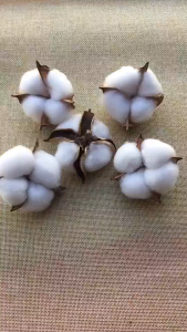 Hoa Bông Gòn Phụ Kiện Trang Trí Giáng Sinh Làm Vòng Hoa TTNTSS192