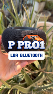 Bộ 3 Loa Bluetooth Đỉnh Cao Thiết Kế Gọn Nhẹ Âm Thanh Bùng Nổ Chống Nước P Pro1 / P Pro6 / Xtreem 3 / Bombox 4 Mini