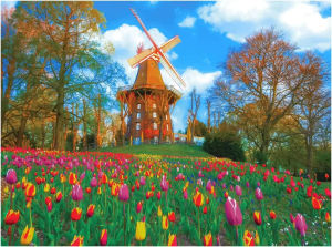 500/1000/1200/2000PCS Windmill Tulip Field Jigsaw Puzzle Dutch Landscape Spring Flowers Art for Adults Home Decoration Gift