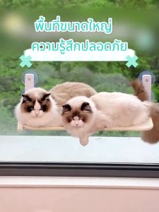 เปลแมวติดกระจก 52x30cm เปลญวนรังสัตว์เลี้ยงแมวหน้าต่างกระจกแขวนพับได้จุกดูดที่นอนแมว แบบไร้สาย พับเก็บได้ รับน้ำหนักได้ถึง 30 kg เปลแมว ที่นอนแมว เปลแมวติดหน้าต่าง ติดกระจก ที่นอนแมว