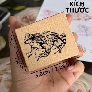 Con Dấu Gỗ Hình Con Ếch Lớn Để Làm Thủ Công DIY Sách Nhật Ký & Tranh Vẽ Con Dấu Khắc Gỗ Thân Thiện Với Môi Trường
