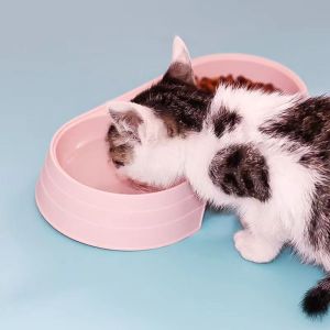 Pet Feeder 2 In 1 Double Bowl Non Slip Dog and Cat Feeder Drinking Bowl Food Bowl Water Bowl Pet Accessories