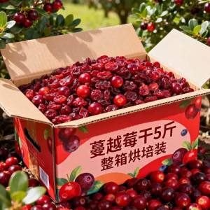 Non Sugar Free Additive-Free Dried Cranberries 5 Jin